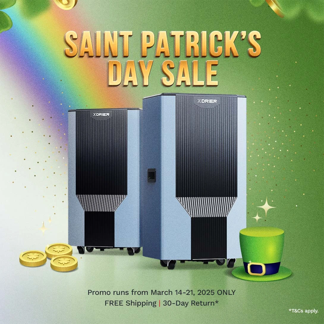 Saint Patrick Day Sale