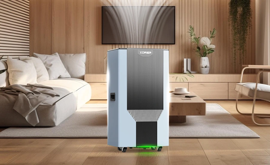 XDRIER Power Elegance Innovation