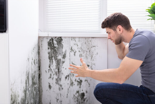 Damp walls or floors
