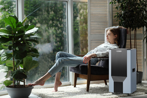 Dehumidifiers regulate indoor humidity