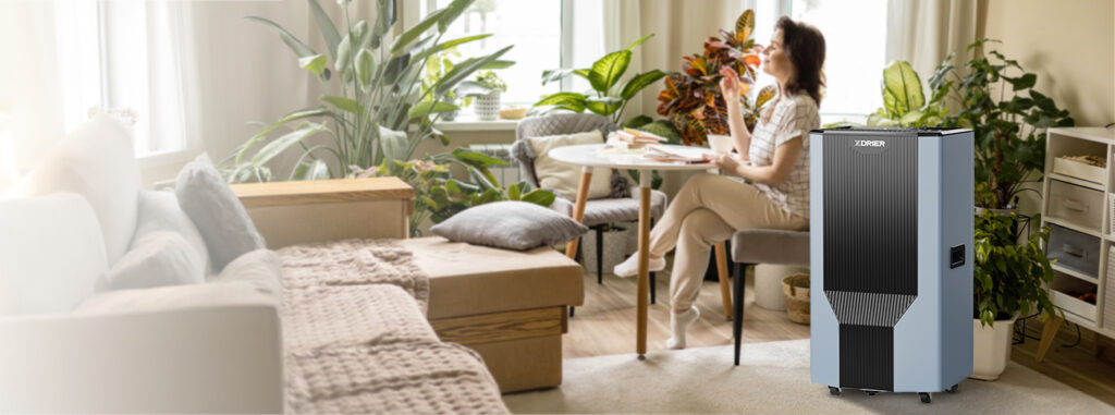 How Dehumidifiers Protect You Against Spring Allergens
