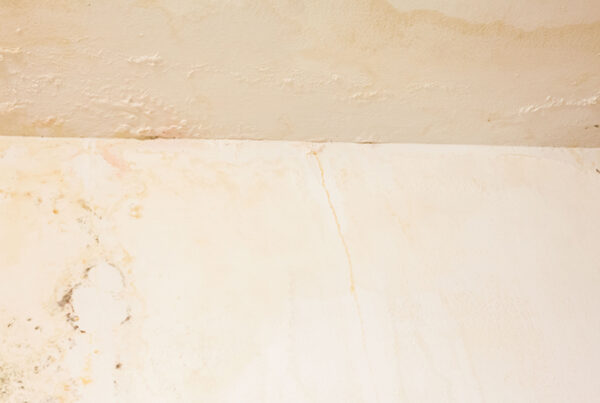 Soft spots on the drywall or floor