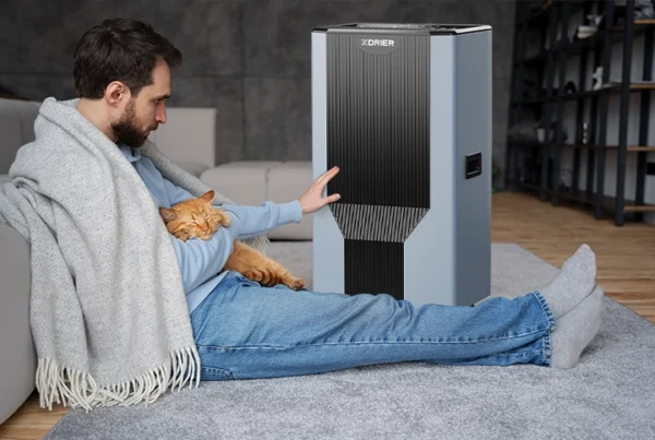 Install a dehumidifier in your home
