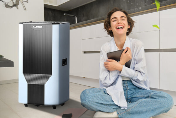 Invest in a Smart Dehumidifier