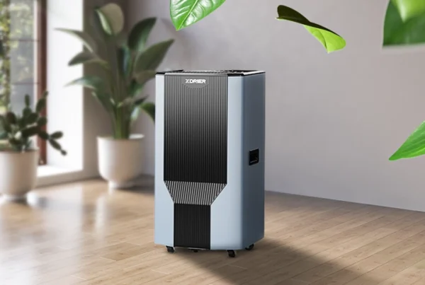 Keep Indoor Air Clean and Fresh with XDRIER