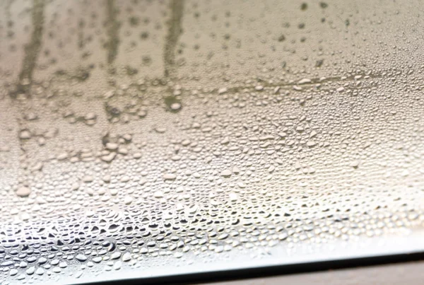 Signs Your Home Has High Humidity