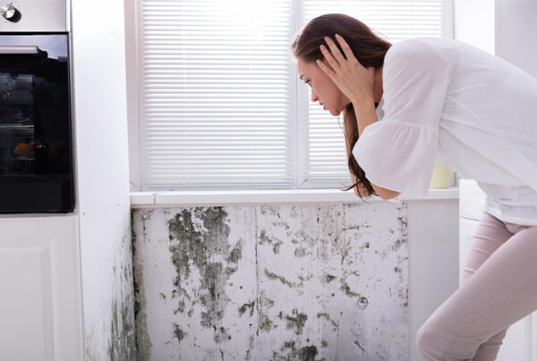 Visible Mold or Mildew Growth