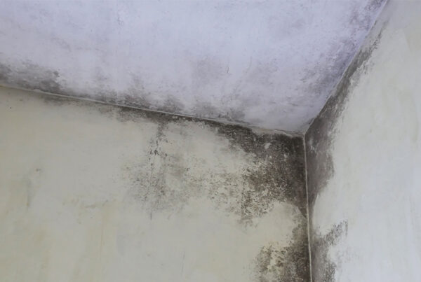 Water Stains or Discoloration on Walls or Ceilings