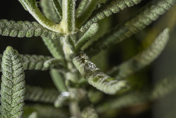 What is Relative Humidity?