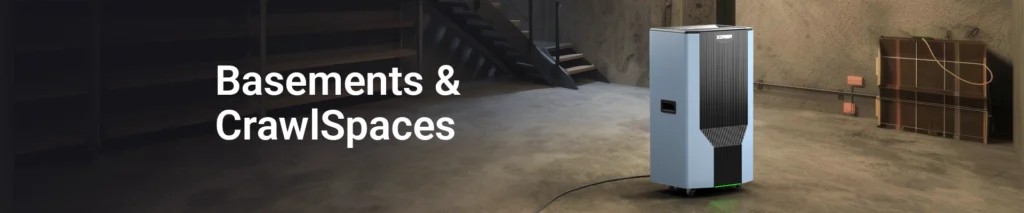Basements & Crawl Spaces​