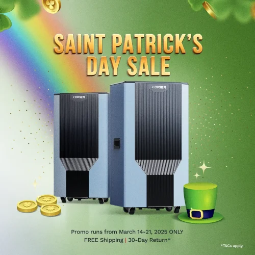 Saint Patrick Day Sale